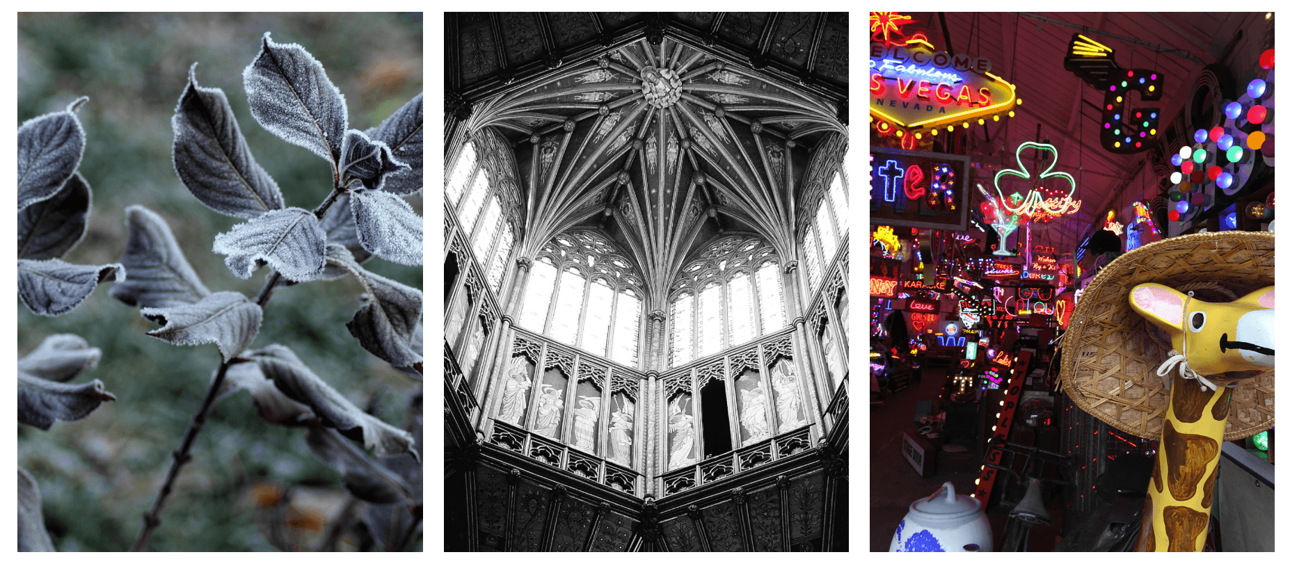 Lucy Kane Photo Walks