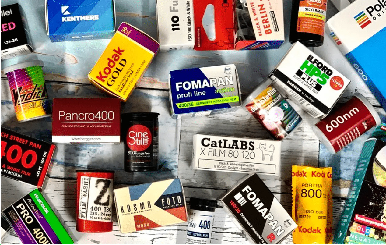 Analogue Wonderland