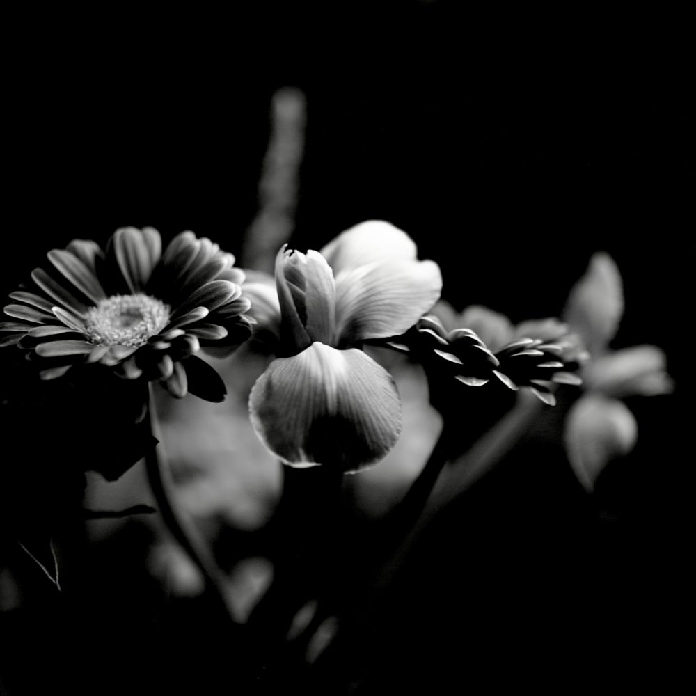 Michael Elliott Photography - Londoner and Fine Art Film Photographer-Flaneur at Large