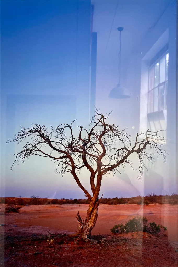 Jason Edwards - National Geographic photographer