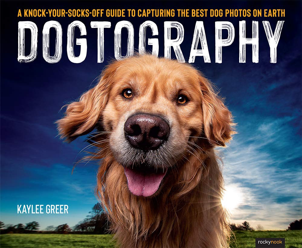 Three Tricks to get Great Dog Photographs & 8 More Tips