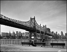 Douglas Levere bridge 2