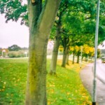 Film camera images taken with Fujifilm Zoom Date 145 Film 35mm Compact Camera.
