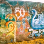 Fujifilm Zoom Date 145, 35mm Film Compact Camera - Results and Feelings about this Film Camera