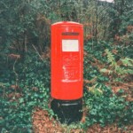 Fujifilm Zoom Date 145, 35mm Film Compact Camera - Results and Feelings about this Film Camera