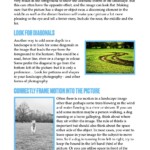 Yashica Camera book example page